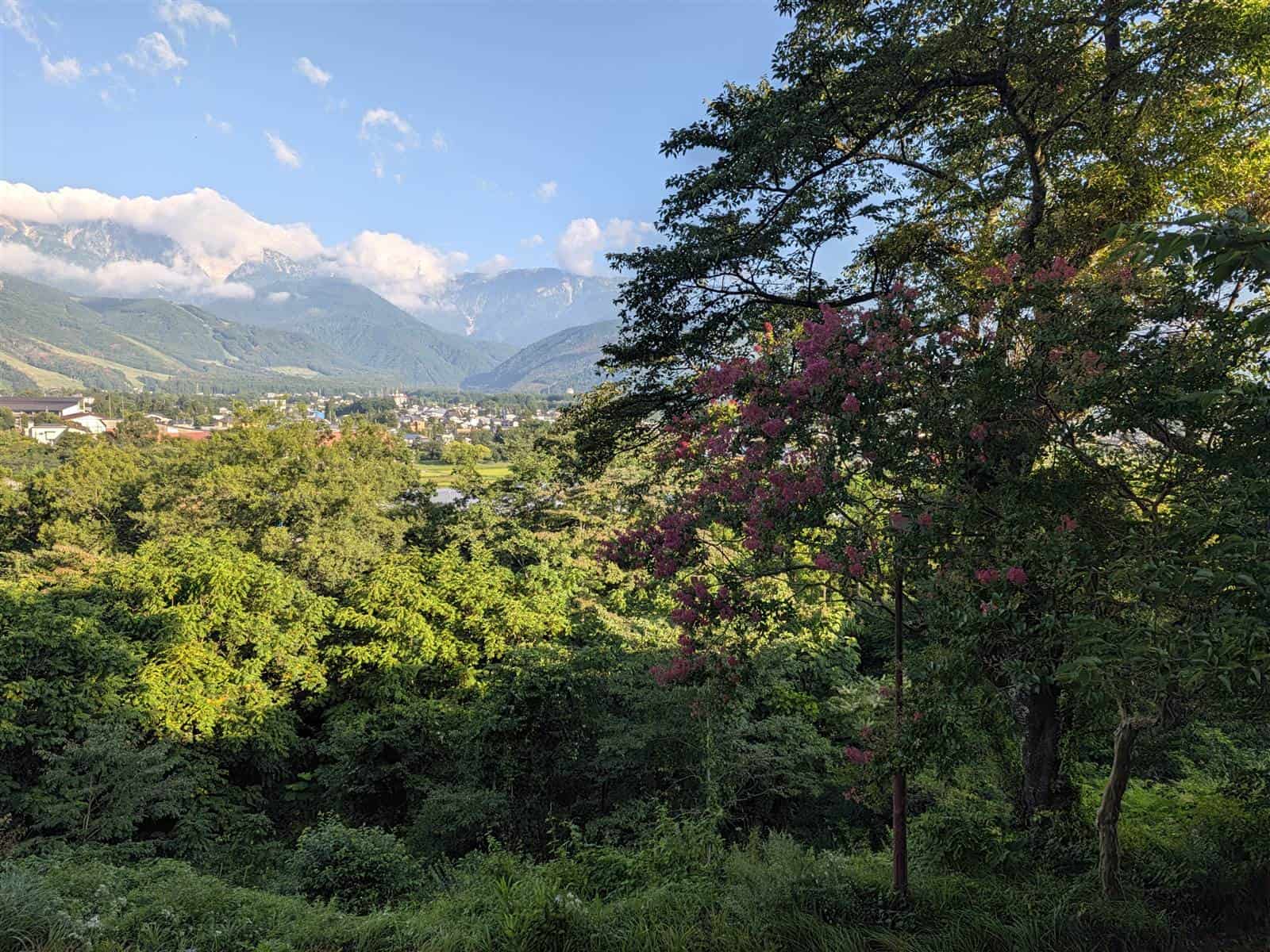 Pixel 11 カメラ作例 白馬 朝の風景 サルスベリと山 広角1倍