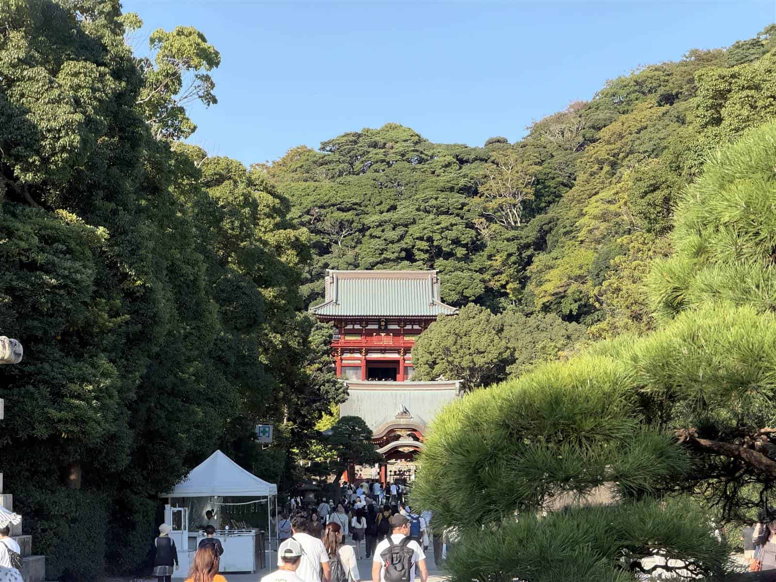iPhone 18 Pro ズーム作例 望遠4倍（100mm）鶴岡八幡宮の楼門